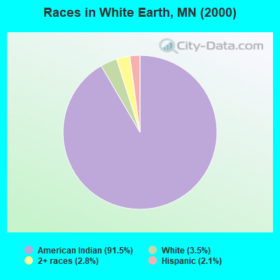 Races in White Earth, MN (2000)