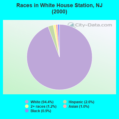Races in White House Station, NJ (2000)