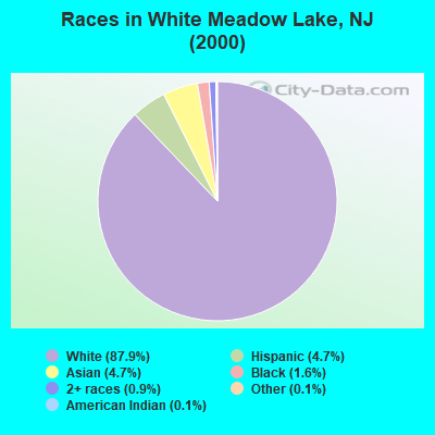 Races in White Meadow Lake, NJ (2000)
