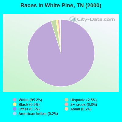 Races in White Pine, TN (2000)