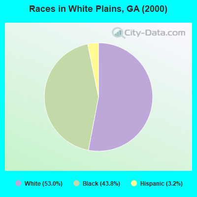 Races in White Plains, GA (2000)