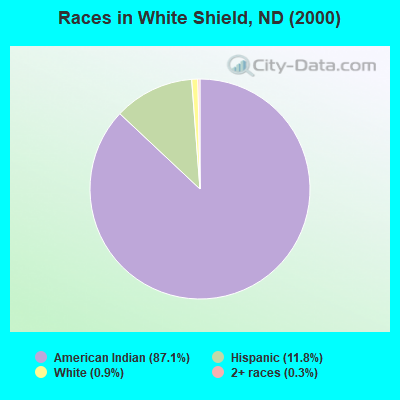 Races in White Shield, ND (2000)