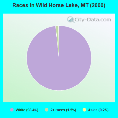 Races in Wild Horse Lake, MT (2000)