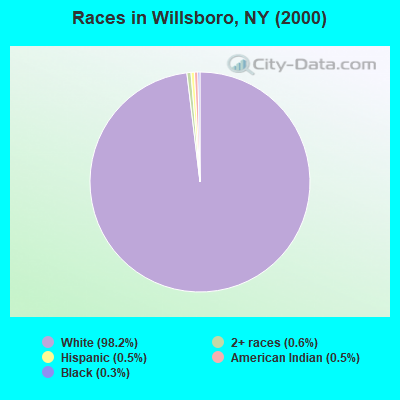 Races in Willsboro, NY (2000)