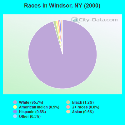 Races in Windsor, NY (2000)