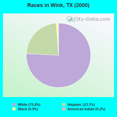 Races in Wink, TX (2000)