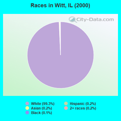 Races in Witt, IL (2000)