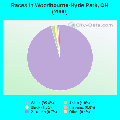 Races in Woodbourne-Hyde Park, OH (2000)