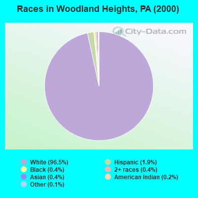 Races in Woodland Heights, PA (2000)