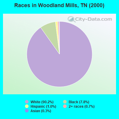 Races in Woodland Mills, TN (2000)
