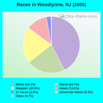 Races in Woodlynne, NJ (2000)