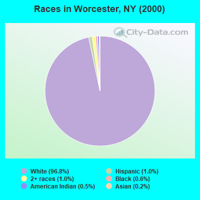 Races in Worcester, NY (2000)