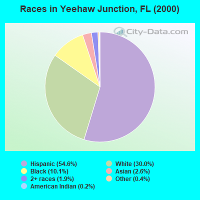 Races in Yeehaw Junction, FL (2000)