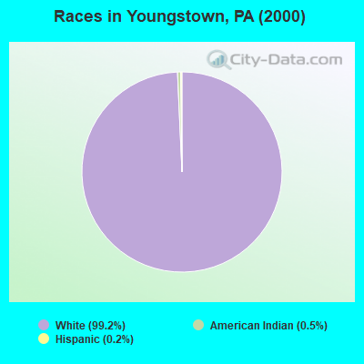 Races in Youngstown, PA (2000)