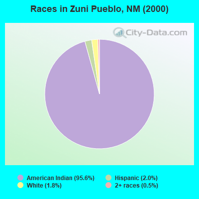 Races in Zuni Pueblo, NM (2000)
