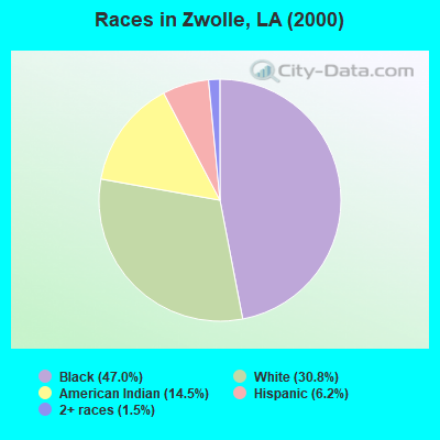 Races in Zwolle, LA (2000)