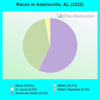 Races in Adamsville, AL (2022)