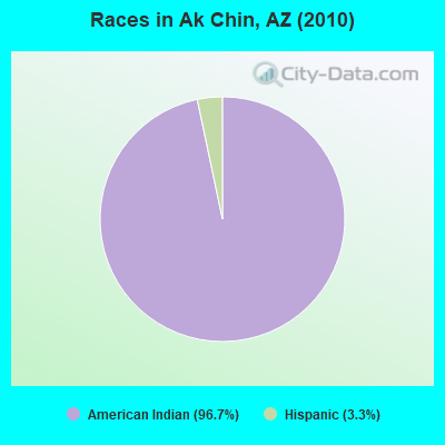 Races in Ak Chin, AZ (2010)