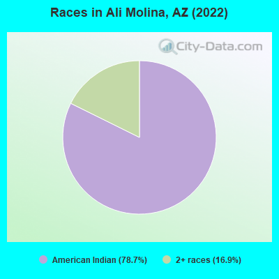Races in Ali Molina, AZ (2022)