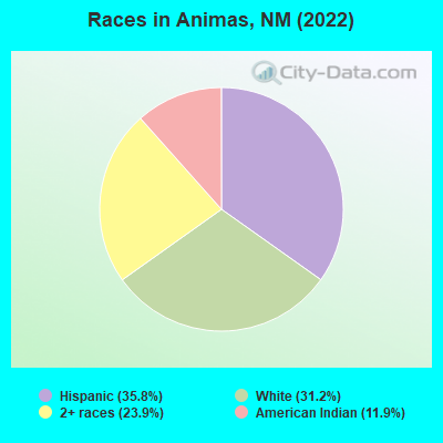Races in Animas, NM (2022)