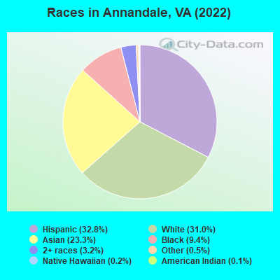Races in Annandale, VA (2019)