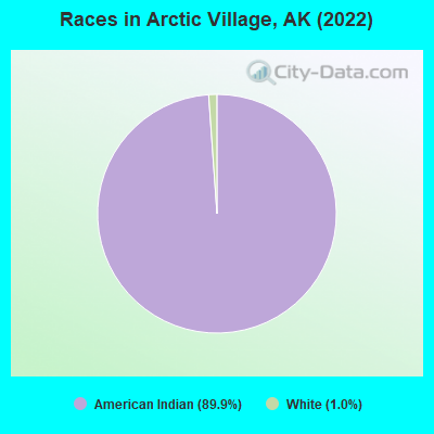 Races in Arctic Village, AK (2022)