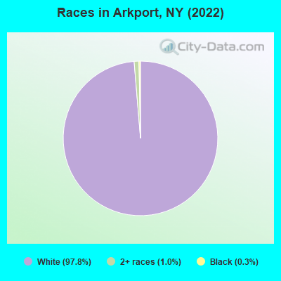 Races in Arkport, NY (2022)