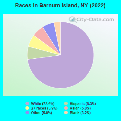 Races in Barnum Island, NY (2022)