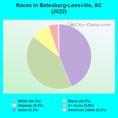 Races in Batesburg-Leesville, SC (2022)