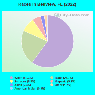 Races in Bellview, FL (2021)