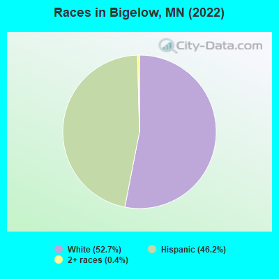 Races in Bigelow, MN (2019)