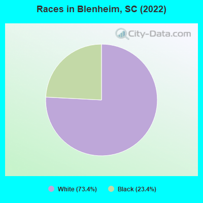 Races in Blenheim, SC (2021)