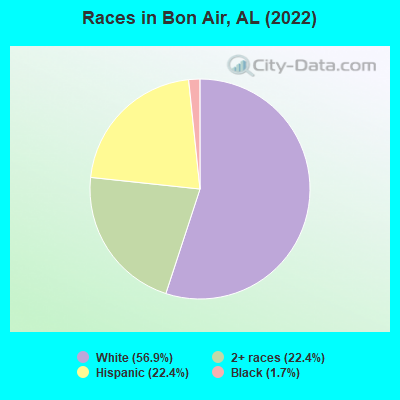 Races in Bon Air, AL (2022)