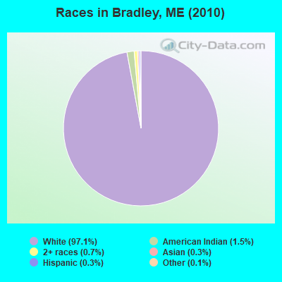 Races in Bradley, ME (2010)