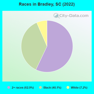 Races in Bradley, SC (2022)