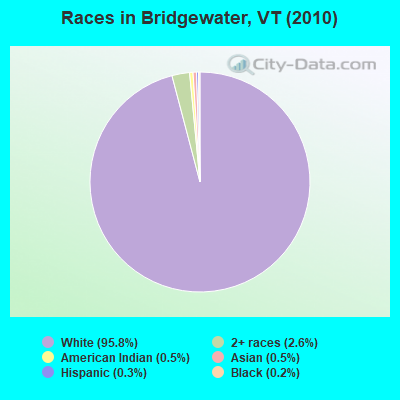 Races in Bridgewater, VT (2010)