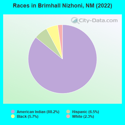 Races in Brimhall Nizhoni, NM (2022)