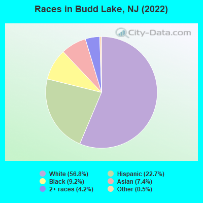 Races in Budd Lake, NJ (2021)