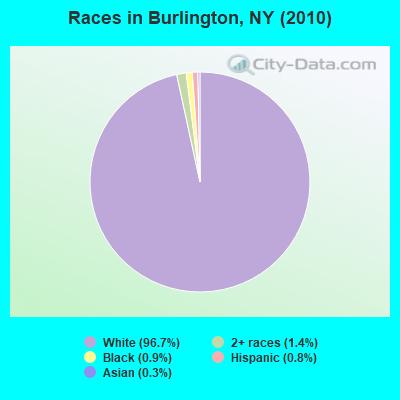 Races in Burlington, NY (2010)