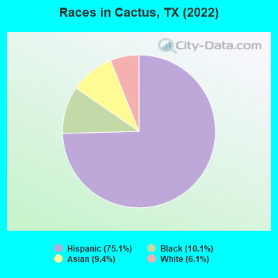 Races in Cactus, TX (2022)