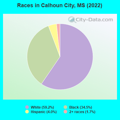 Calhoun City, Mississippi (MS 38916) profile: population, maps, real