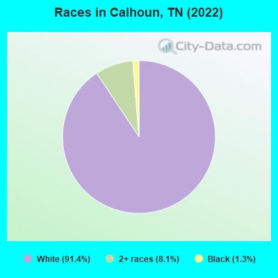 Races in Calhoun, TN (2022)