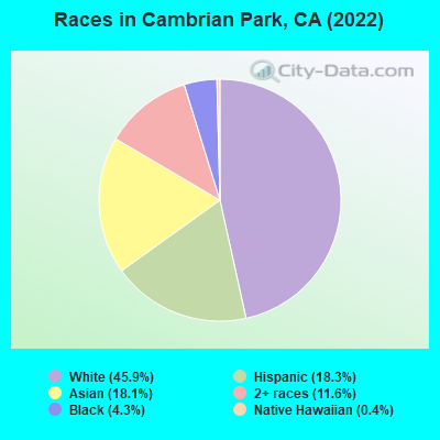 Races in Cambrian Park, CA (2022)
