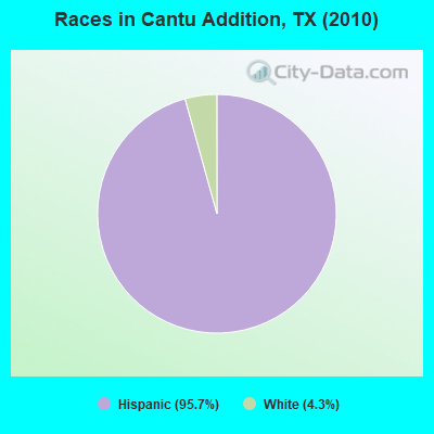 Races in Cantu Addition, TX (2010)