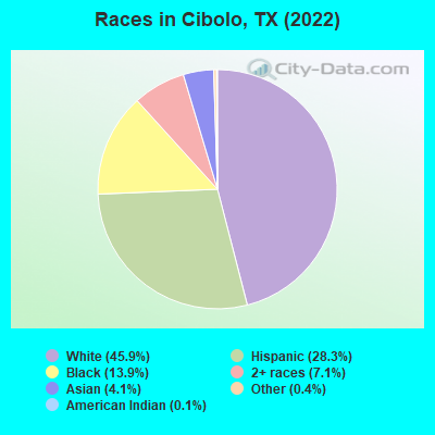 Races in Cibolo, TX (2019)