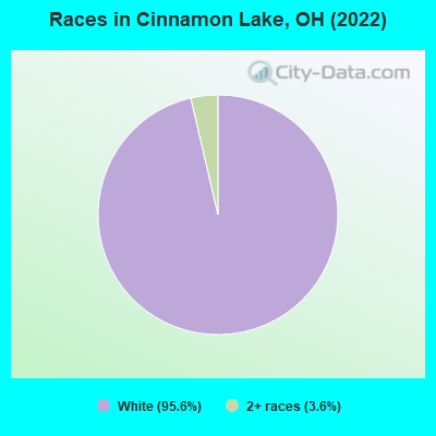 Races in Cinnamon Lake, OH (2022)
