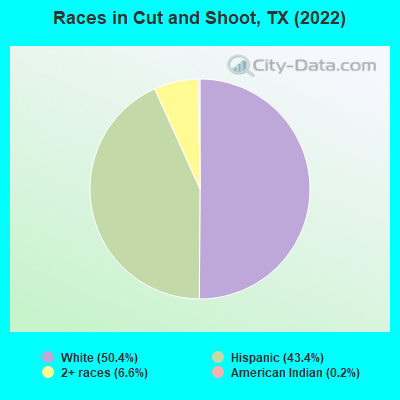 Races in Cut and Shoot, TX (2022)