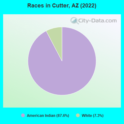 Races in Cutter, AZ (2022)