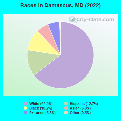 Races in Damascus, MD (2021)