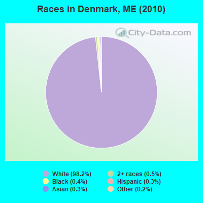 Races in Denmark, ME (2010)